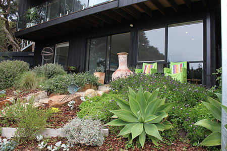 Garden behind apartment