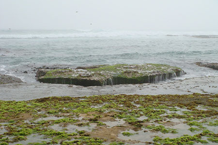 The ocean from Sorrento beach on a cloudy day